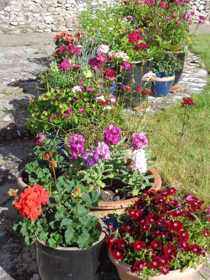 Lodge House B&B Buckland St Mary Bagian luar foto